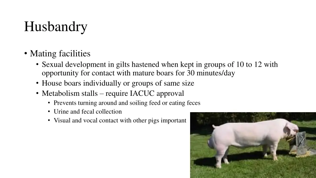 husbandry 11