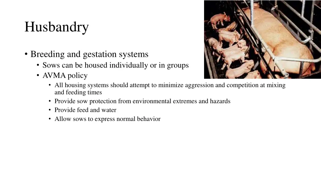husbandry 7