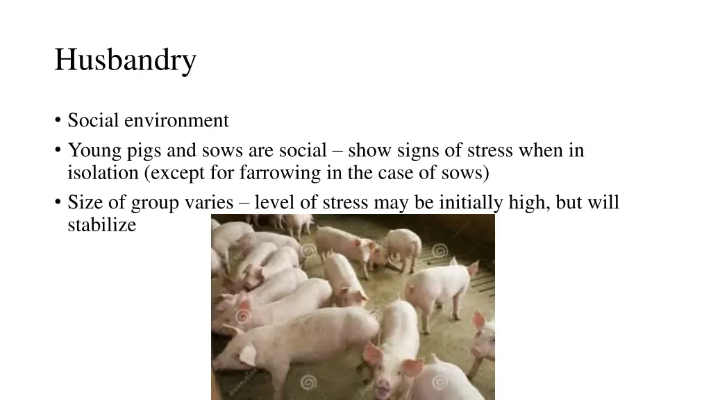 husbandry