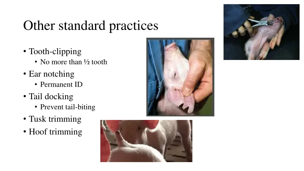 other standard practices