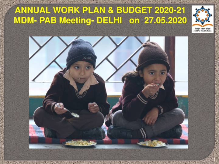 annual work plan budget 2020 21 mdm pab meeting