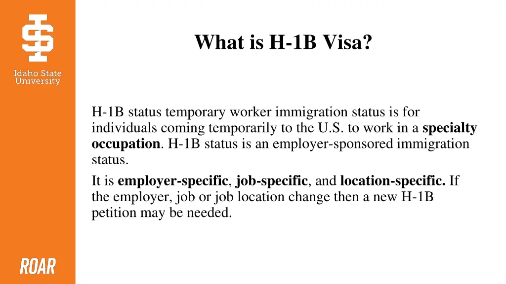 what is h 1b visa