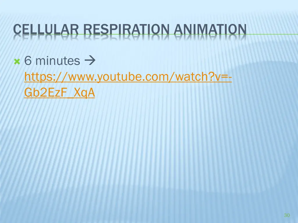cellular respiration animation