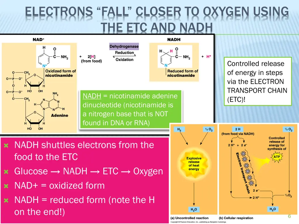 electrons fall closer to oxygen using