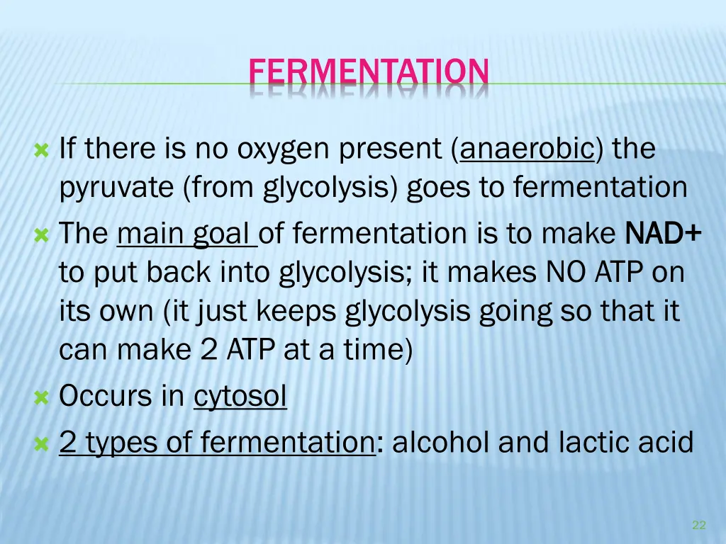 fermentation