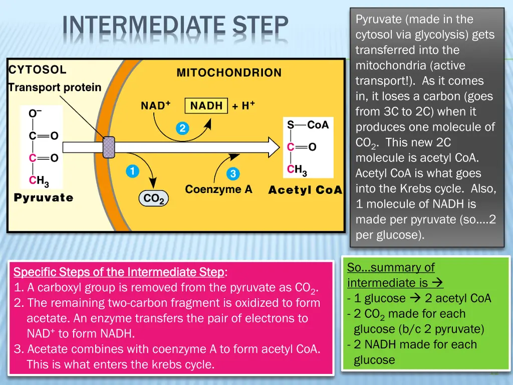 intermediate step