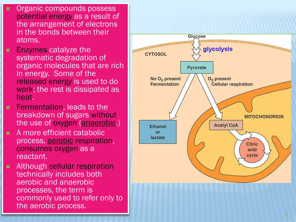 organic compounds possess potential energy
