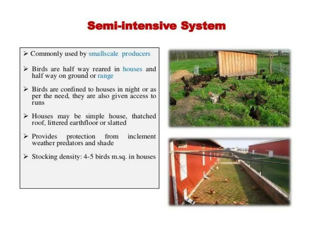 slide5