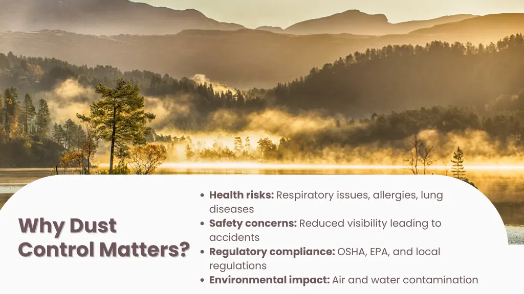 health risks respiratory issues allergies lung