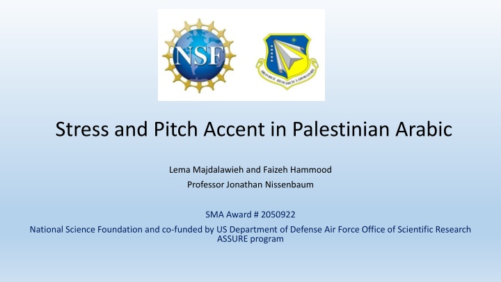 stress and pitch accent in palestinian arabic