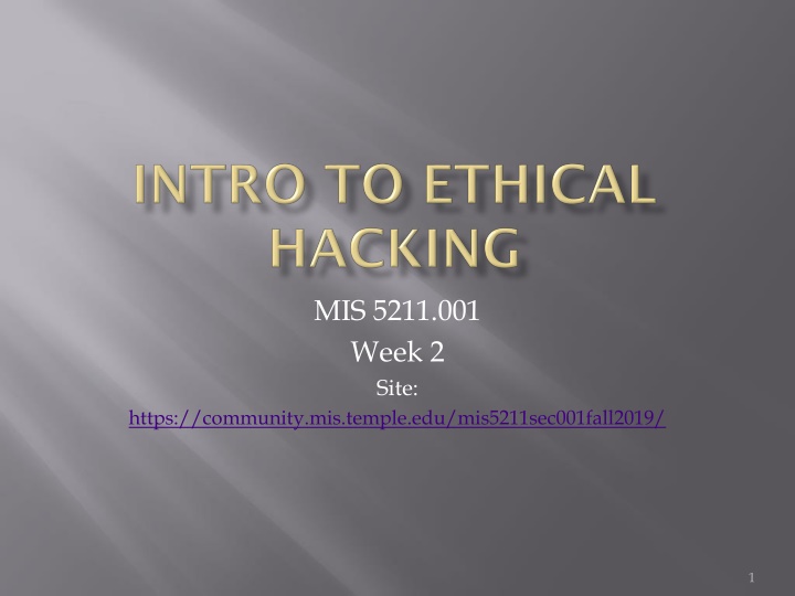 mis 5211 001 week 2 site
