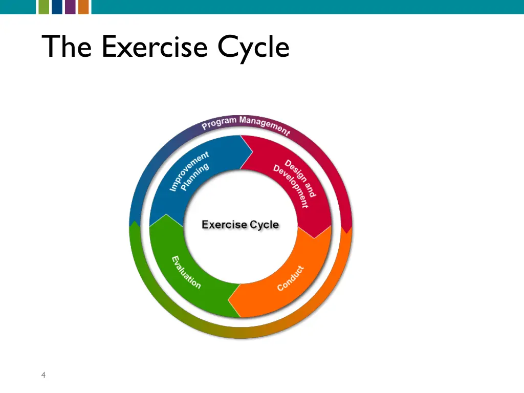 the exercise cycle