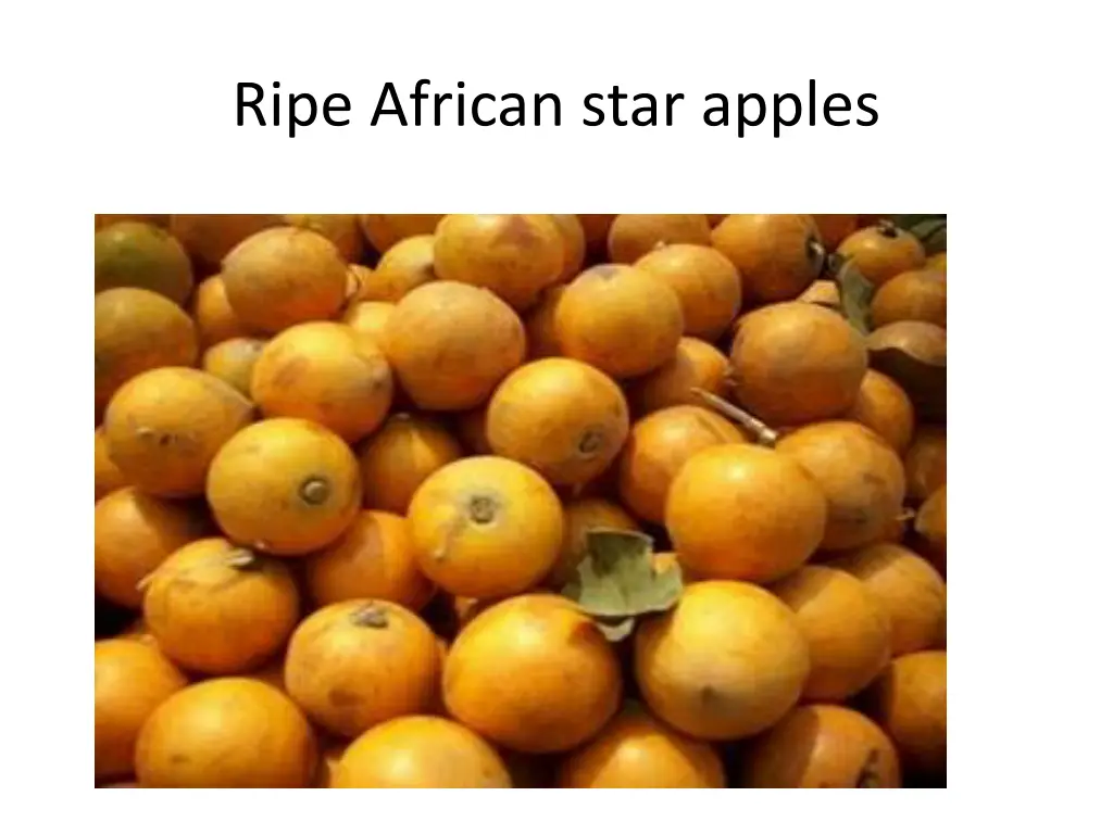 ripe african star apples