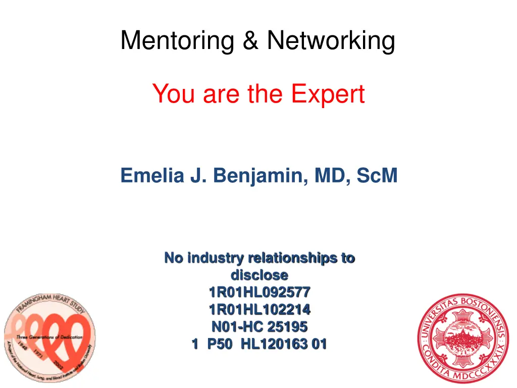mentoring networking