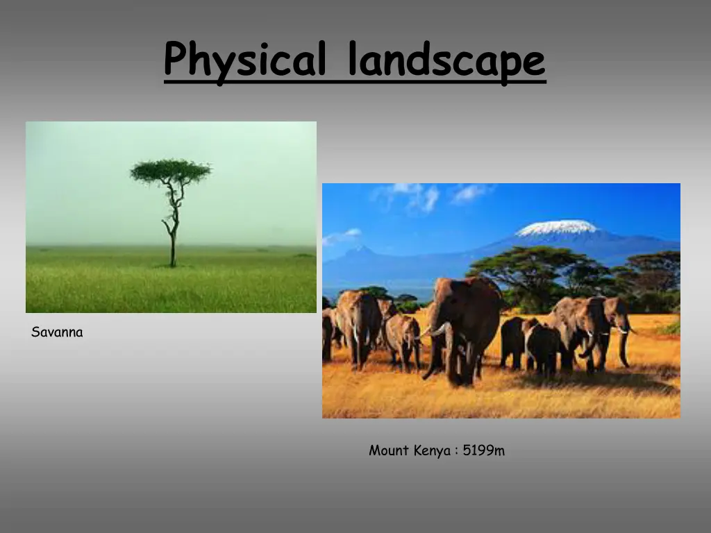 physical landscape