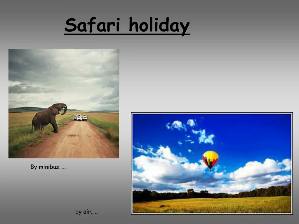 safari holiday