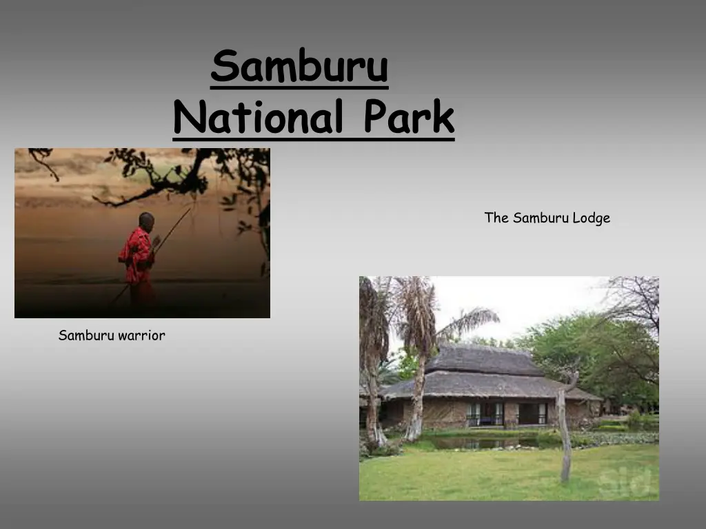 samburu
