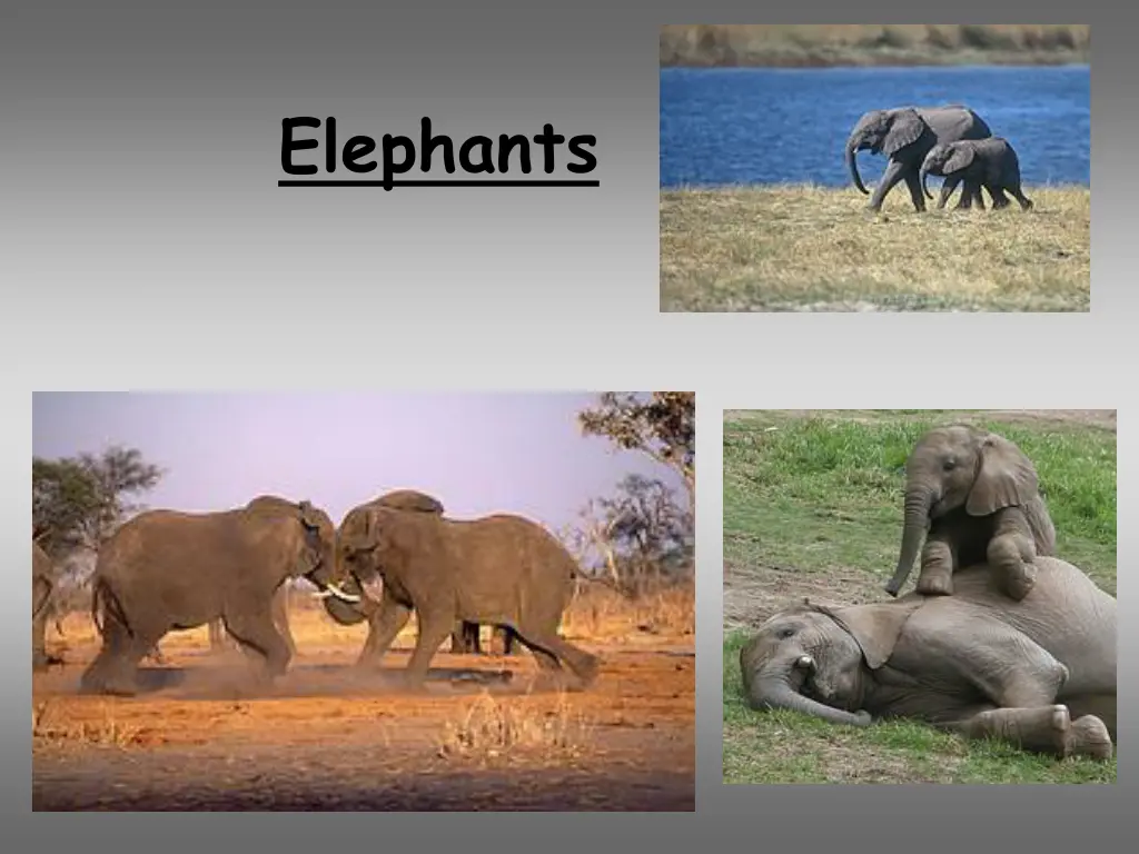 slide8