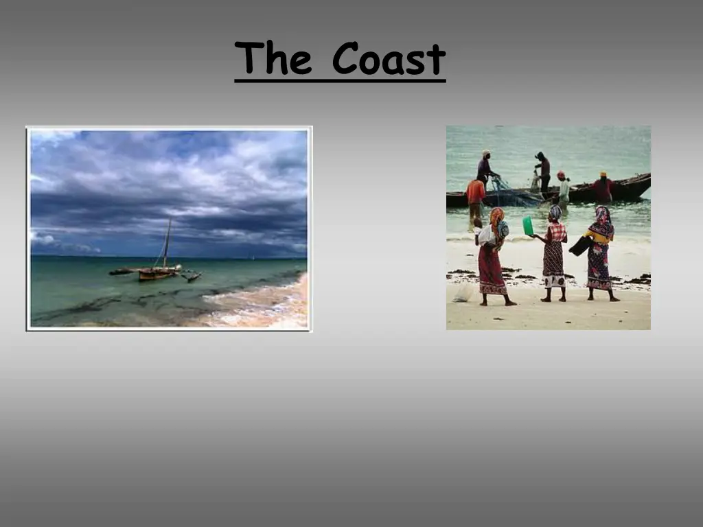 the coast