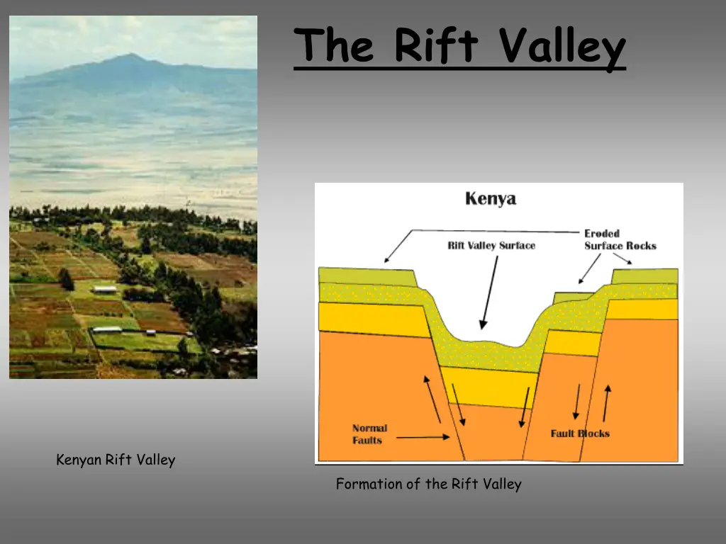 the rift valley