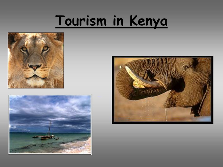 tourism in kenya