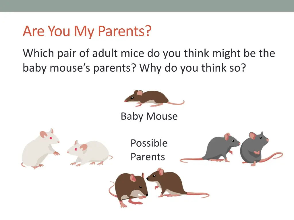 are you my parents
