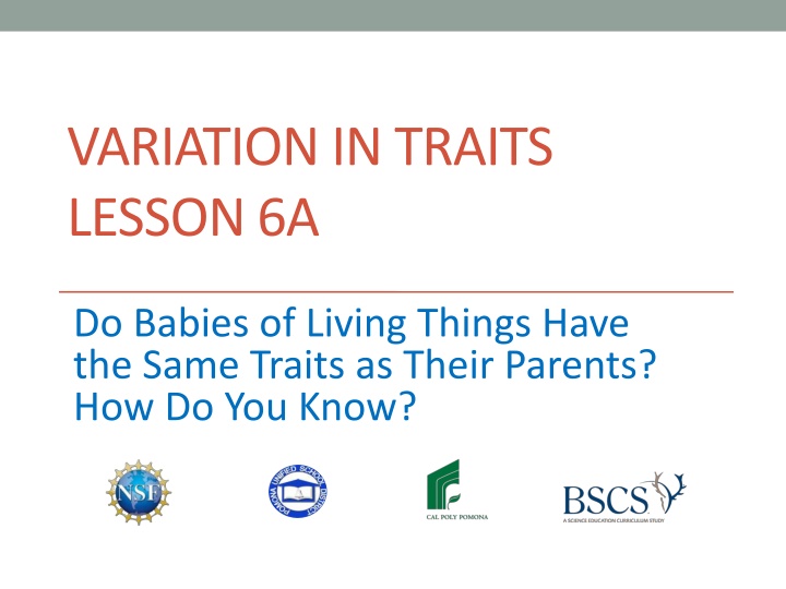 variation in traits lesson 6a