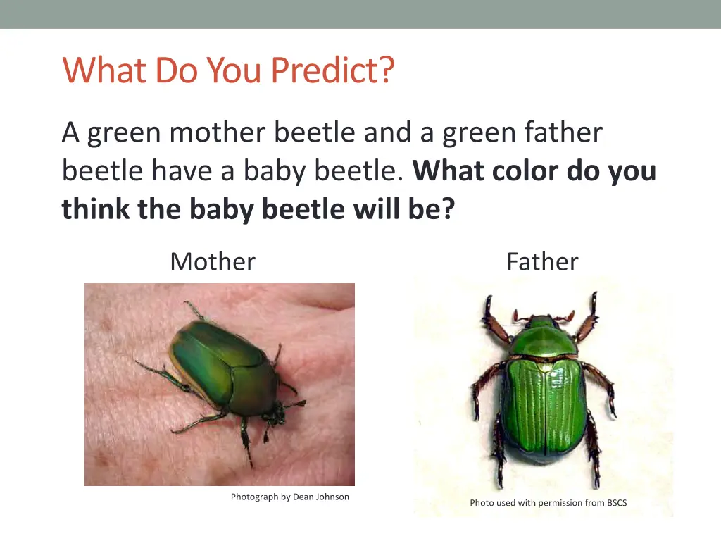 what do you predict