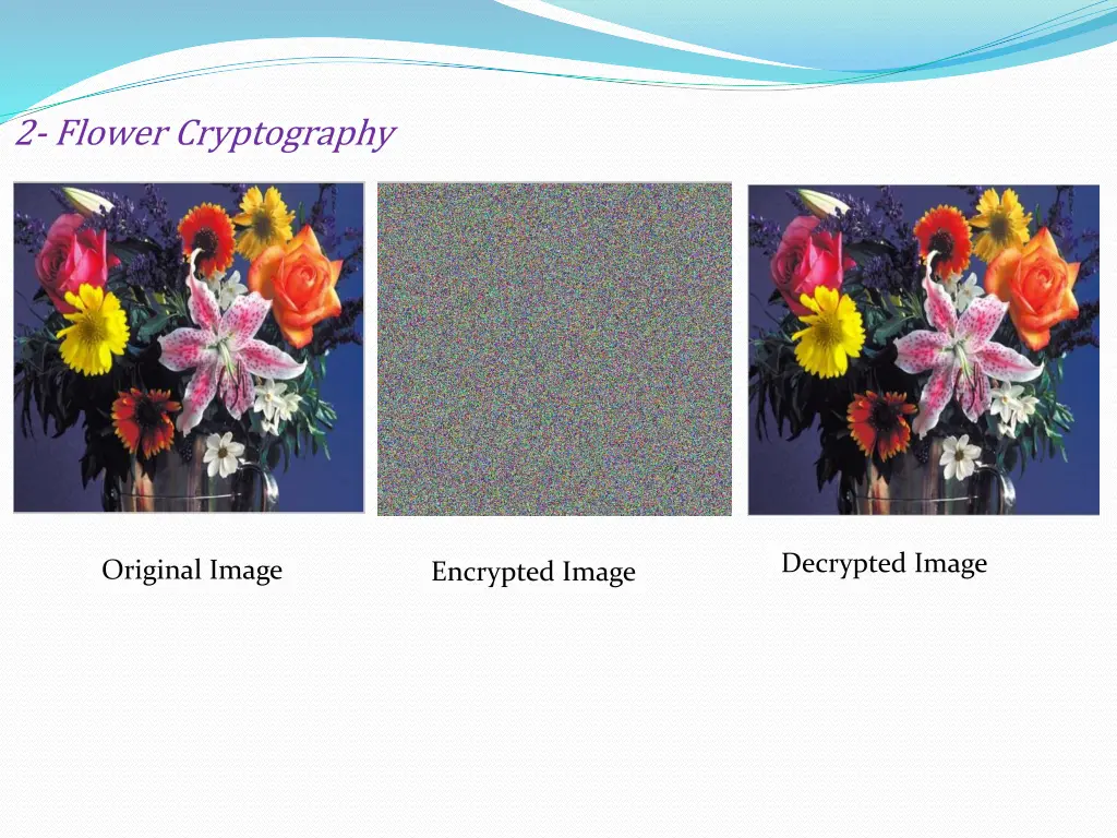 2 flower cryptography