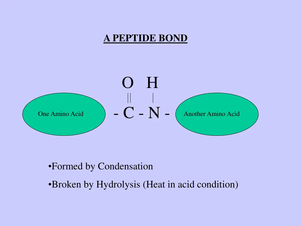 a peptide bond