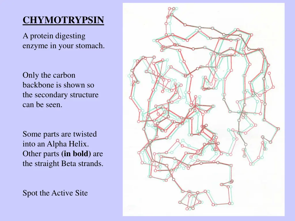 chymotrypsin