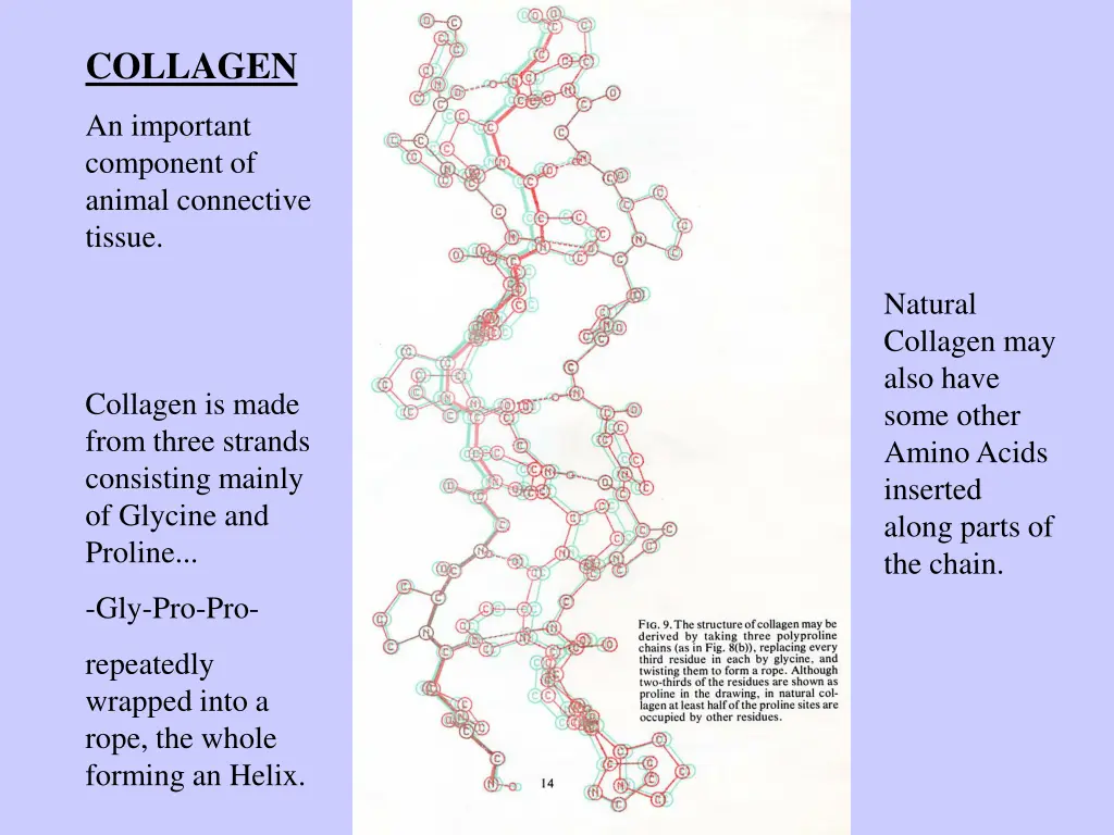 collagen