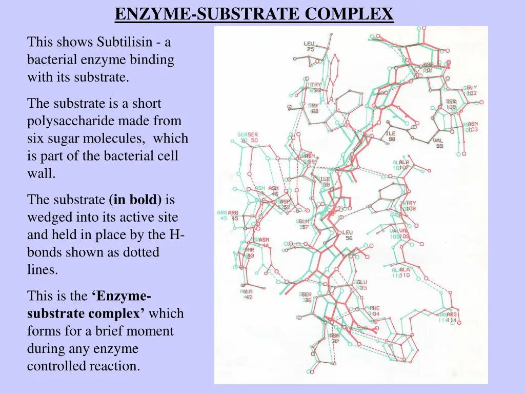 enzyme substrate complex