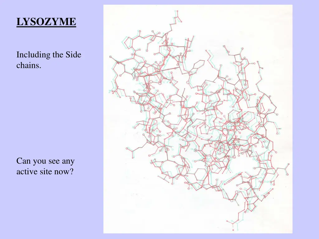 lysozyme 1