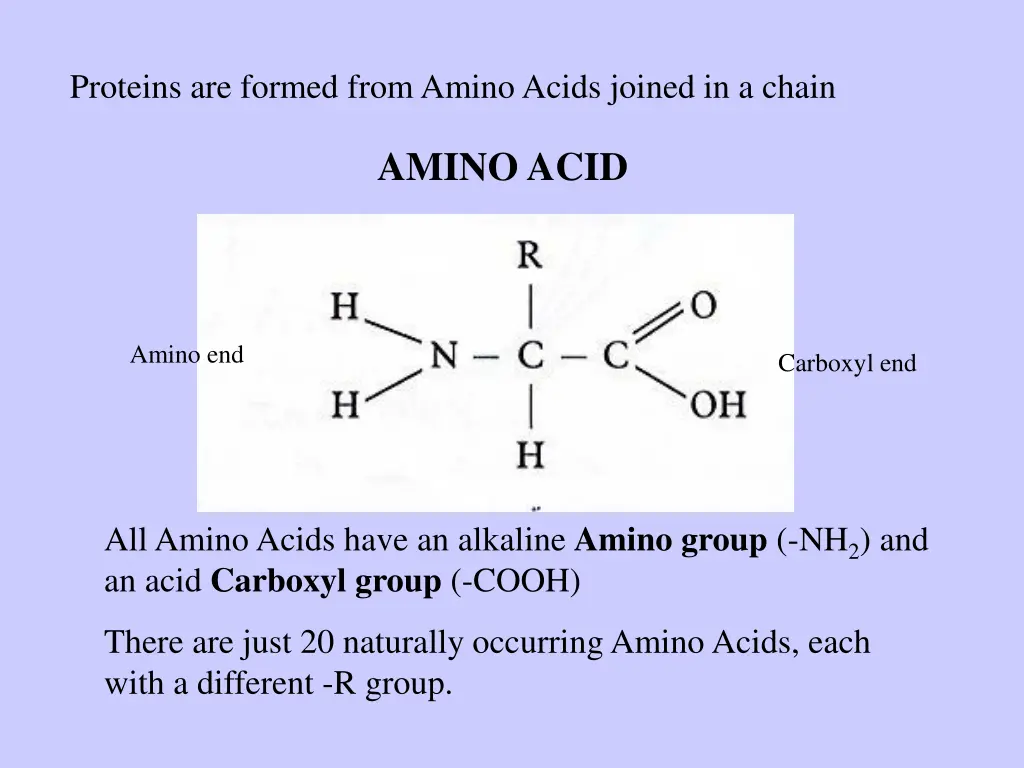 proteins are formed from amino acids joined