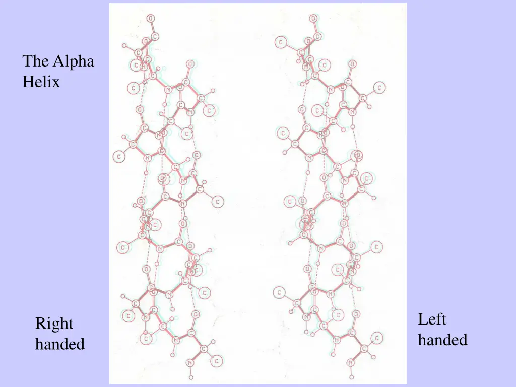 the alpha helix