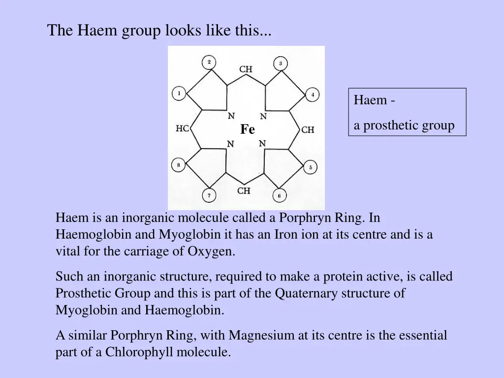 the haem group looks like this