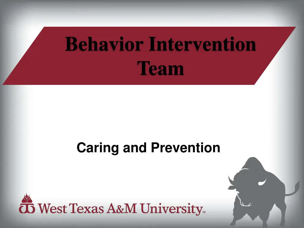 behavior intervention team