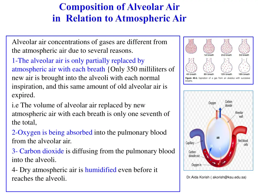 alveolar air concentrations of gases