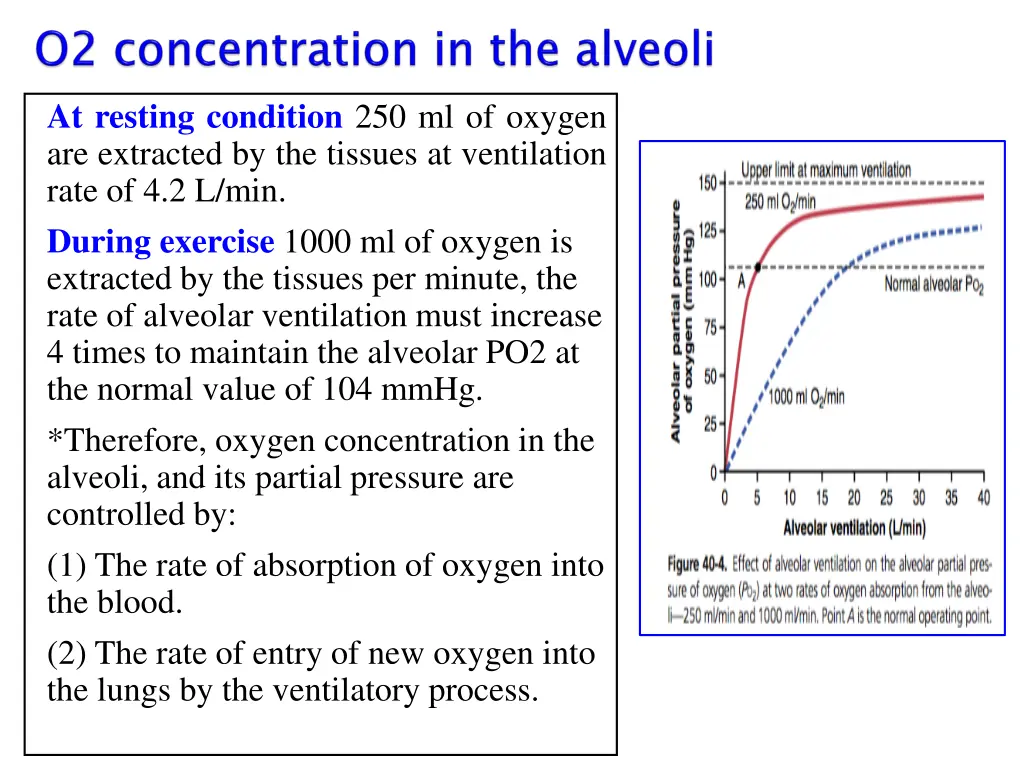 at resting condition 250 ml of oxygen