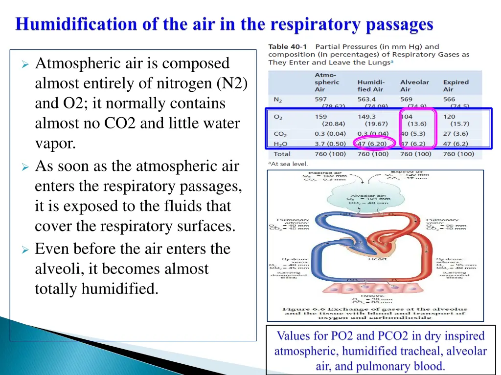 atmospheric air is composed almost entirely
