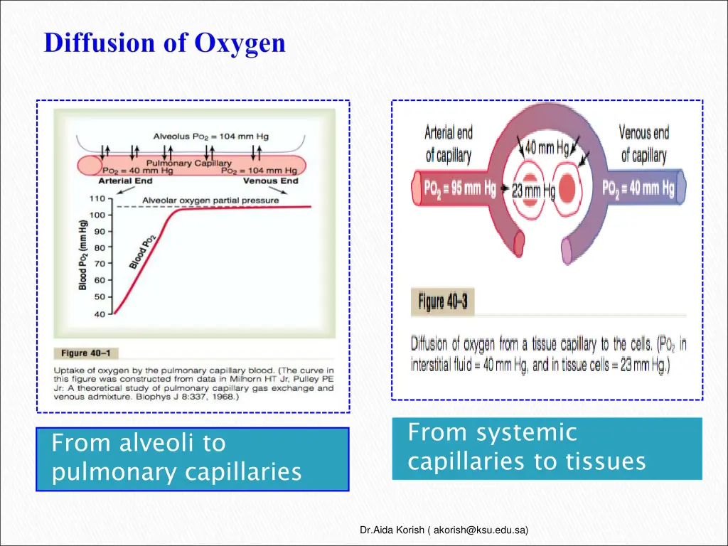 from systemic capillaries to tissues