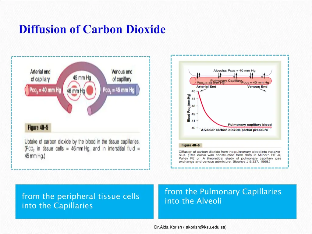 from the pulmonary capillaries into the alveoli