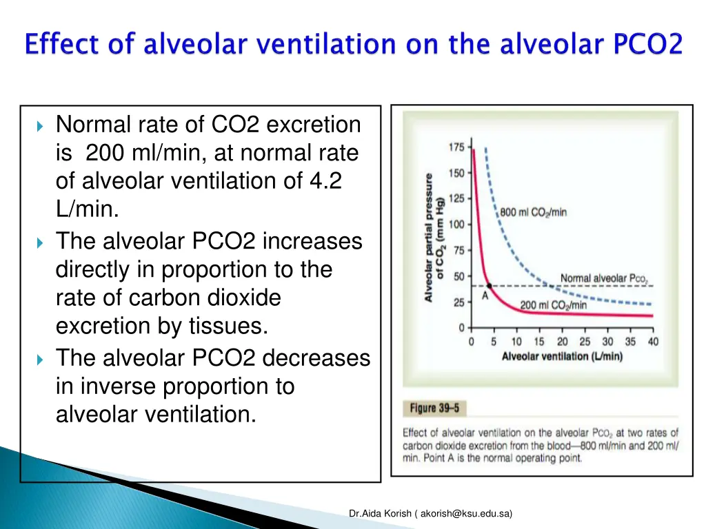 normal rate of co2 excretion