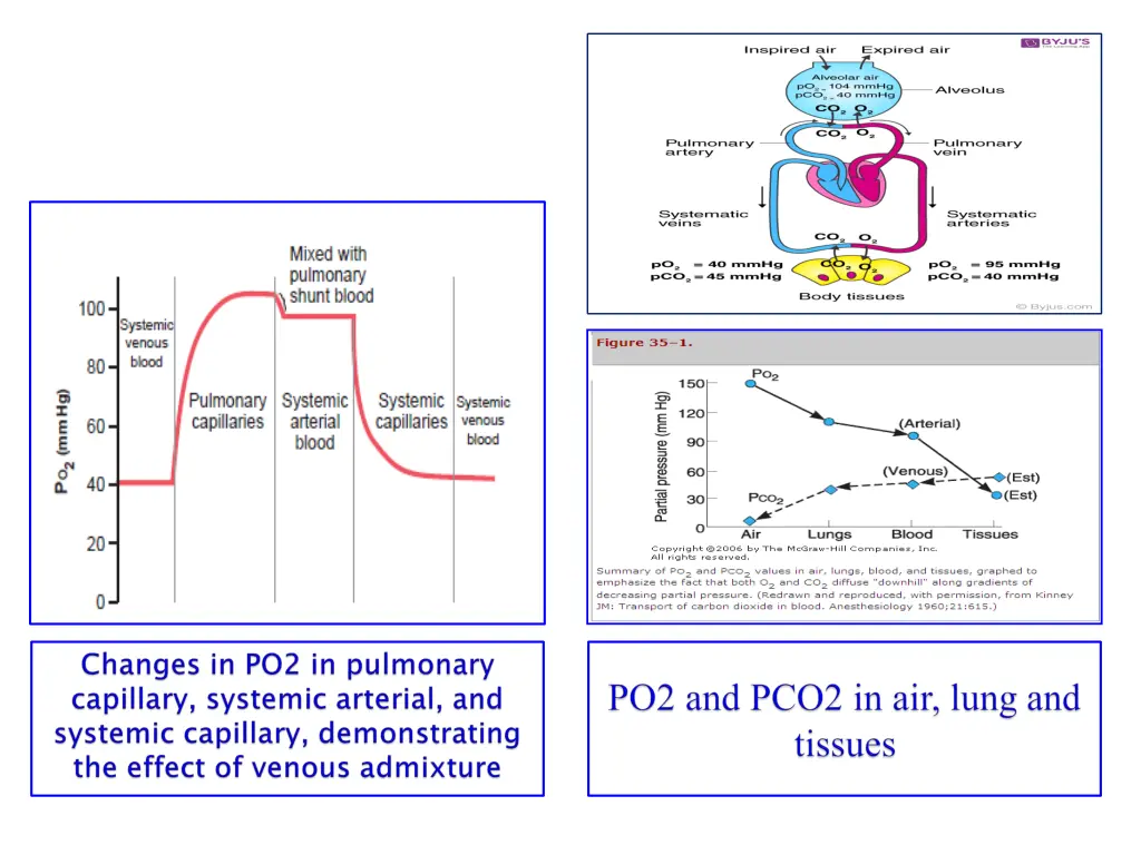 slide17