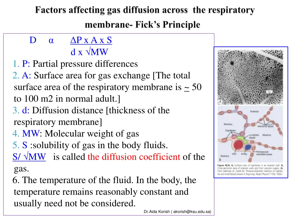 slide8