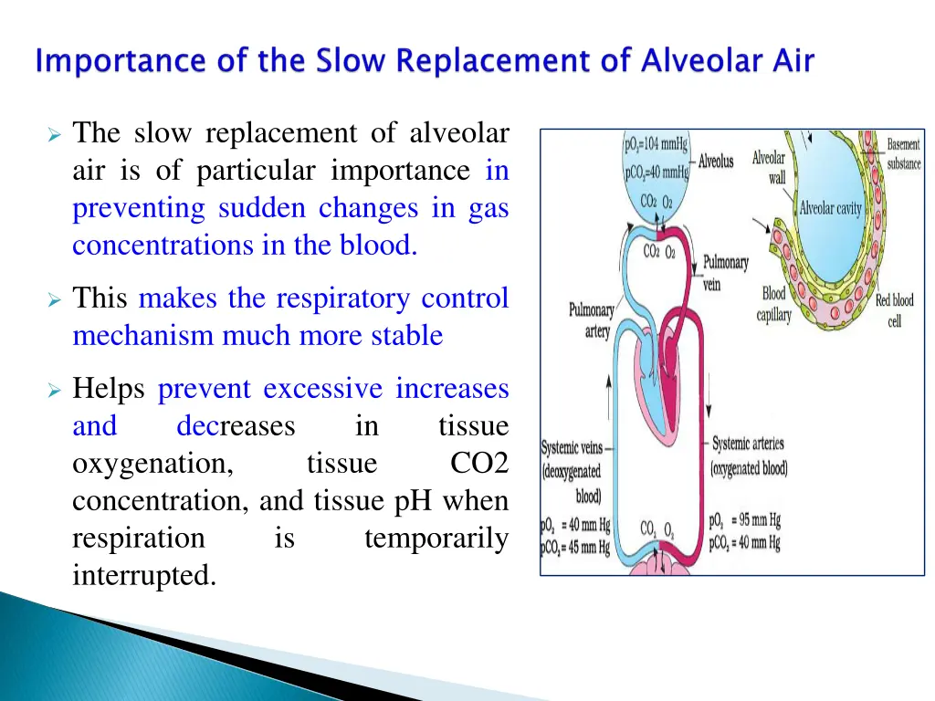the slow replacement of alveolar