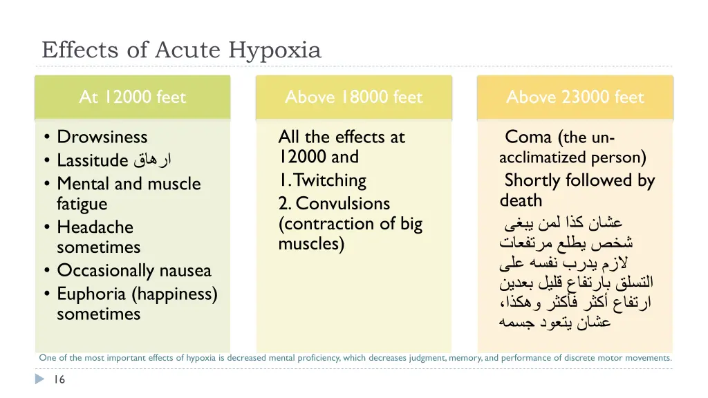 effects of acute hypoxia