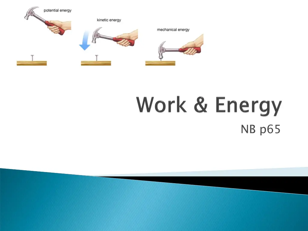 nb p65