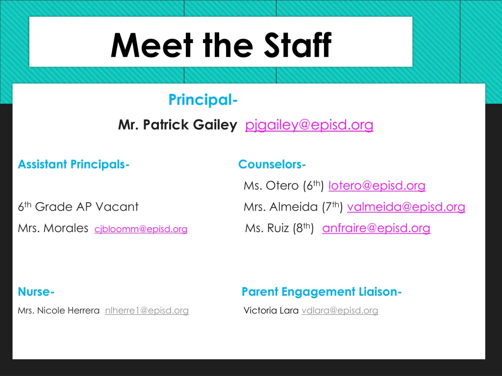 meet the staff